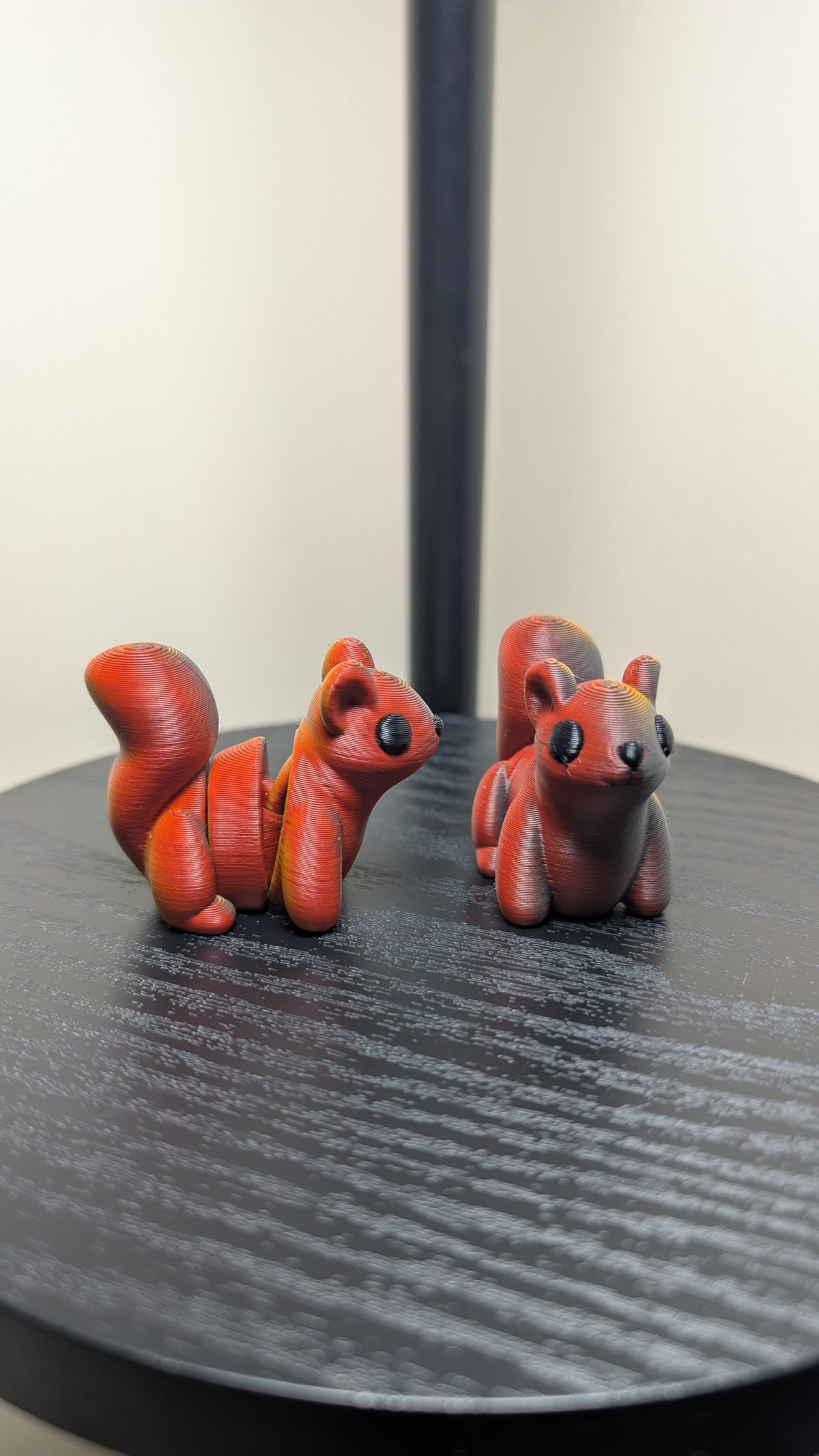 Squirrel