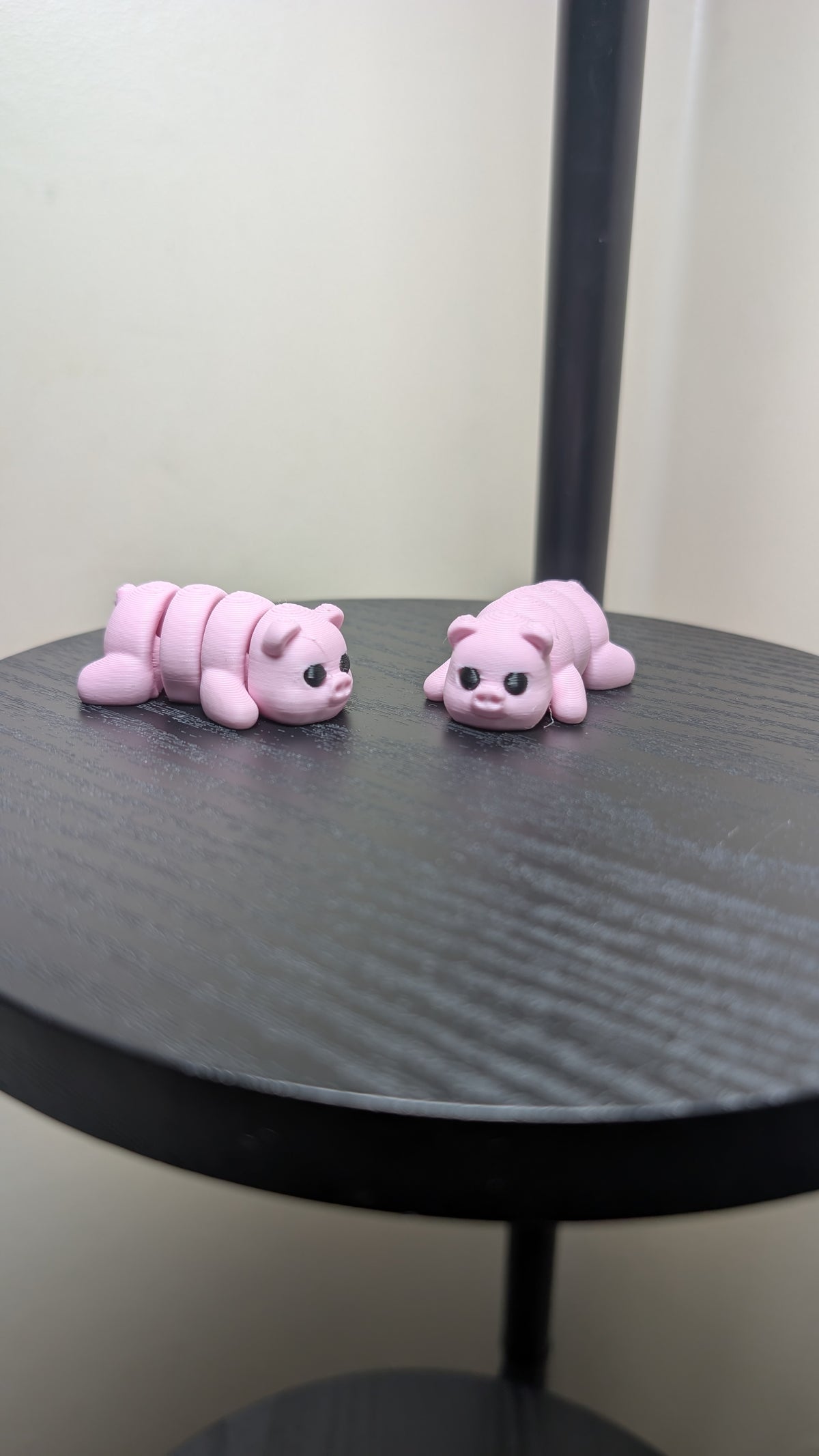 Pig