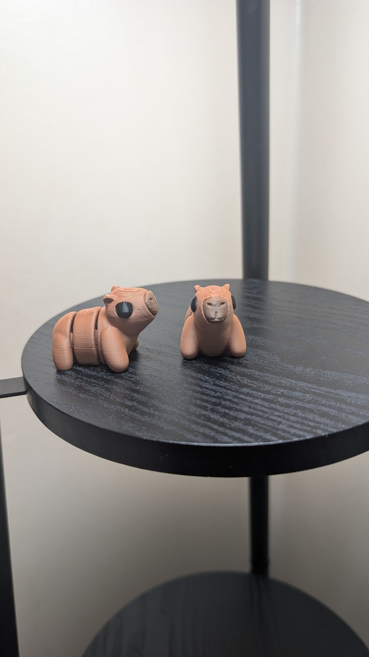 Capybara