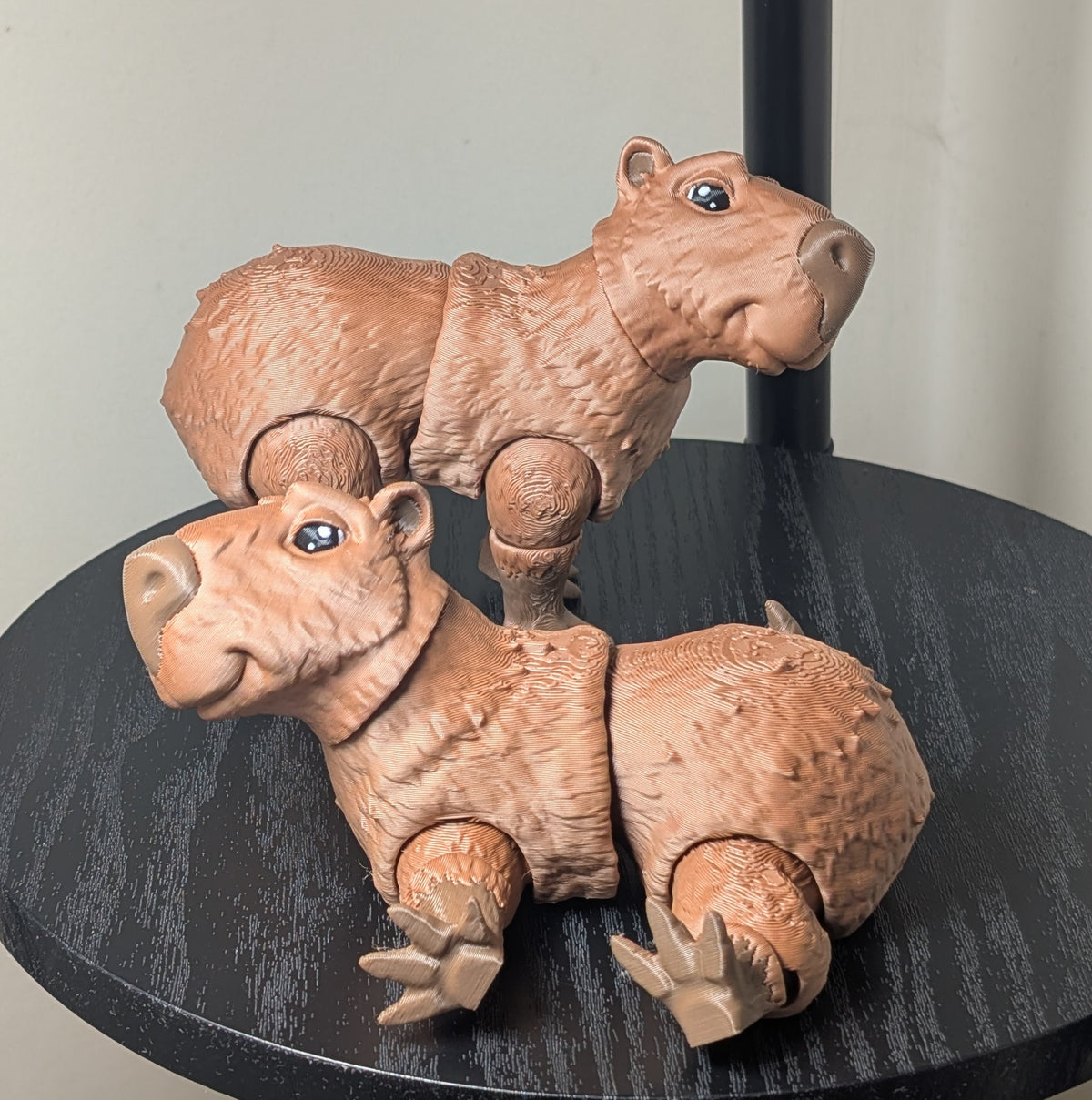 Capybara