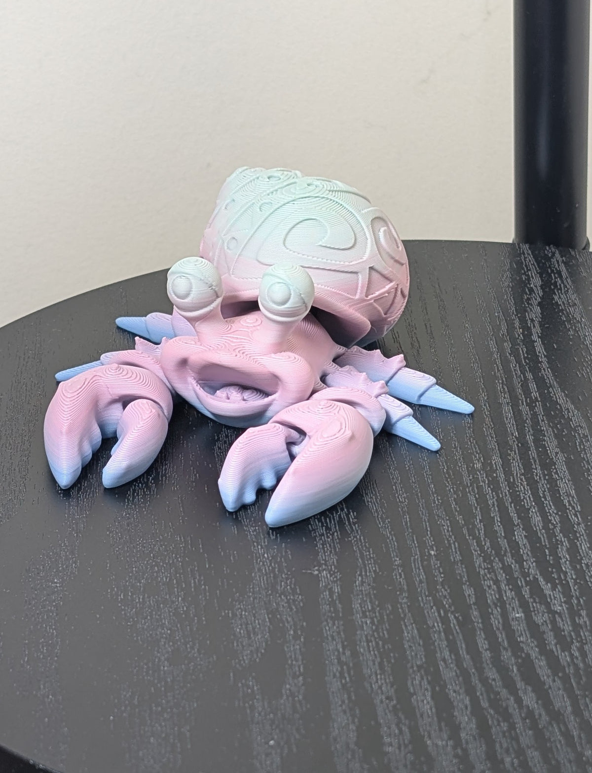 Tattooed Hermit Crab
