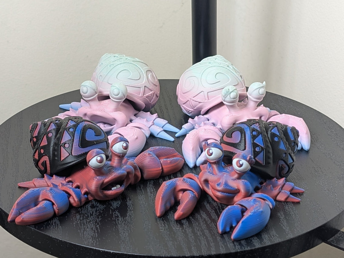 Tattooed Hermit Crab