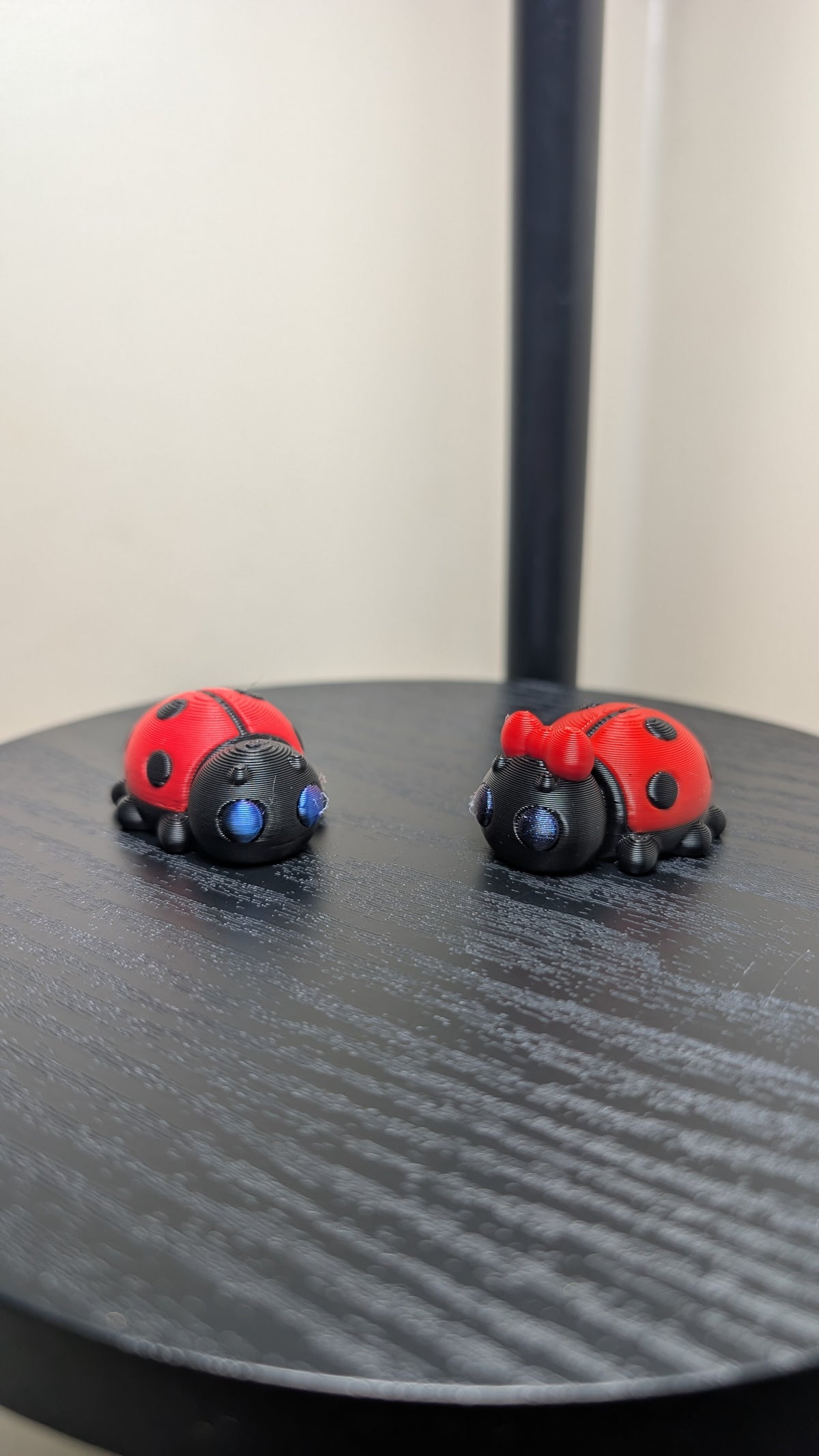 Ladybug