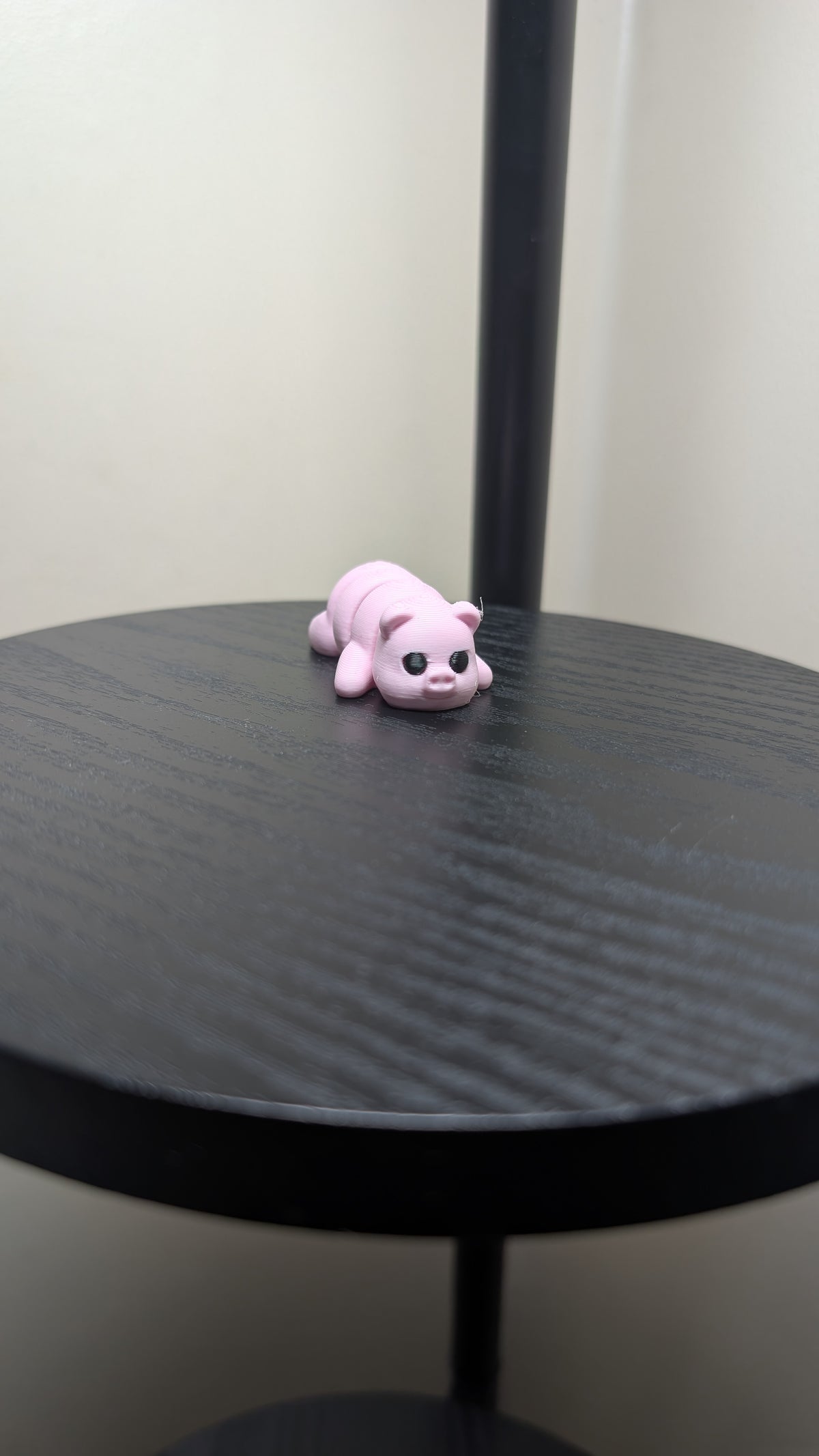 Pig