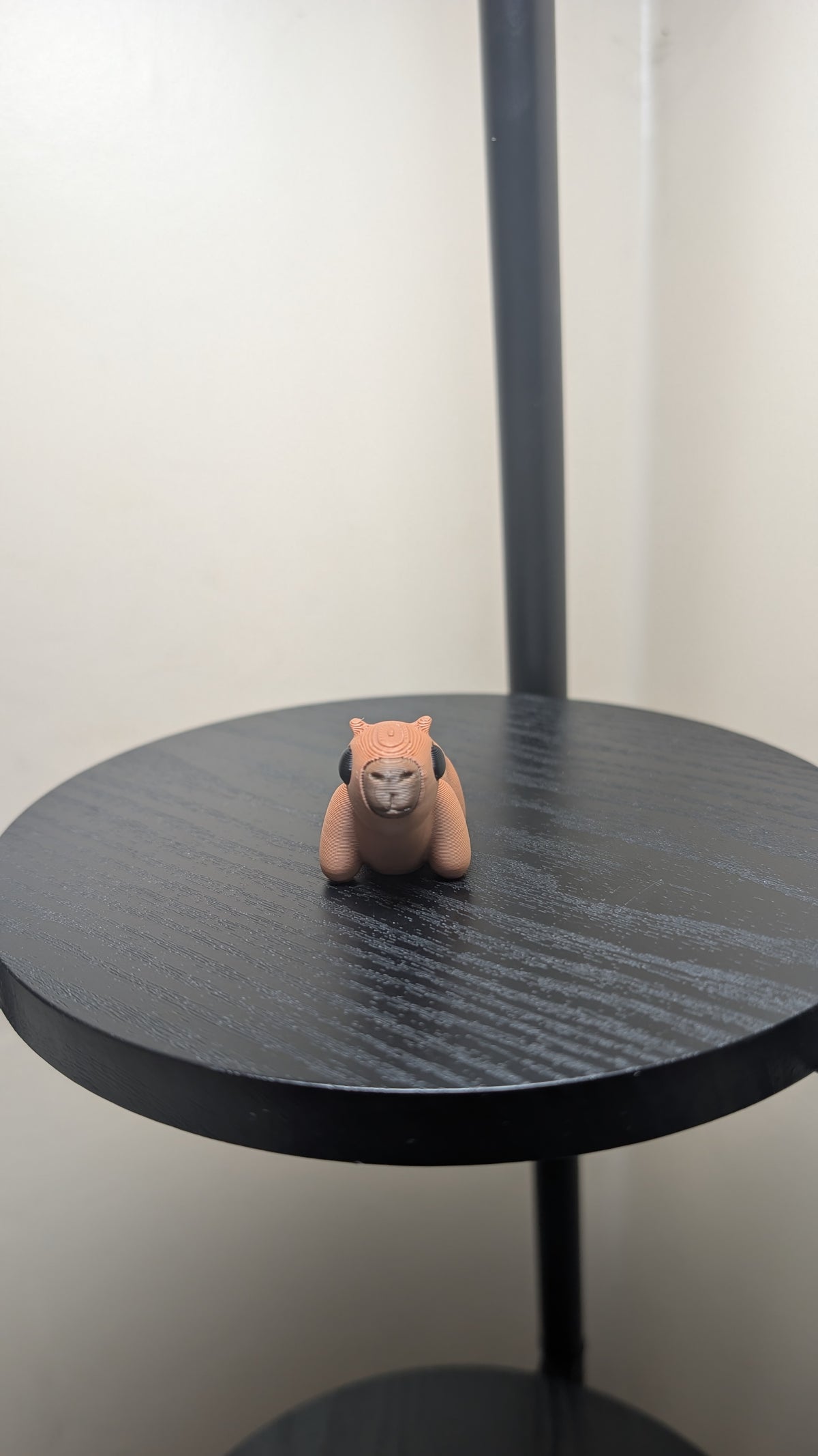 Capybara
