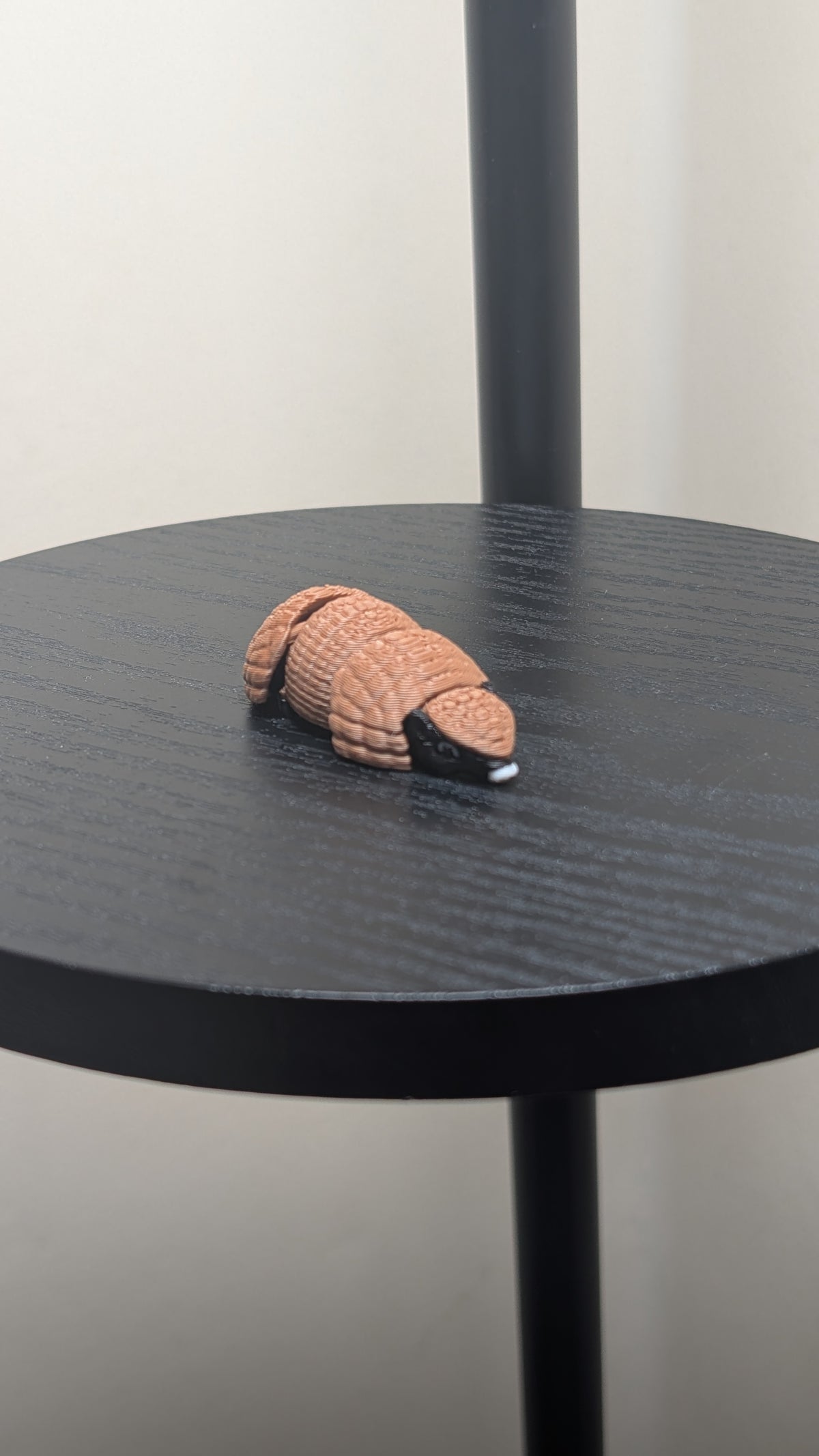 Armadillo