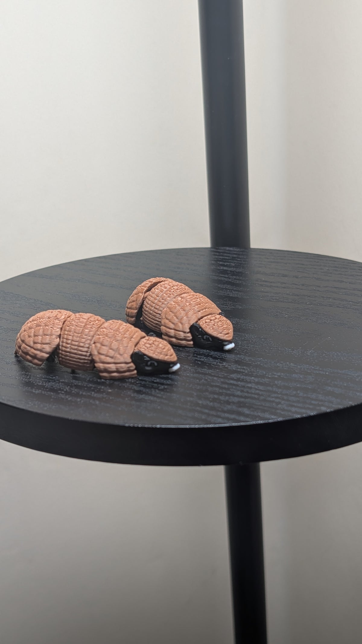 Armadillo