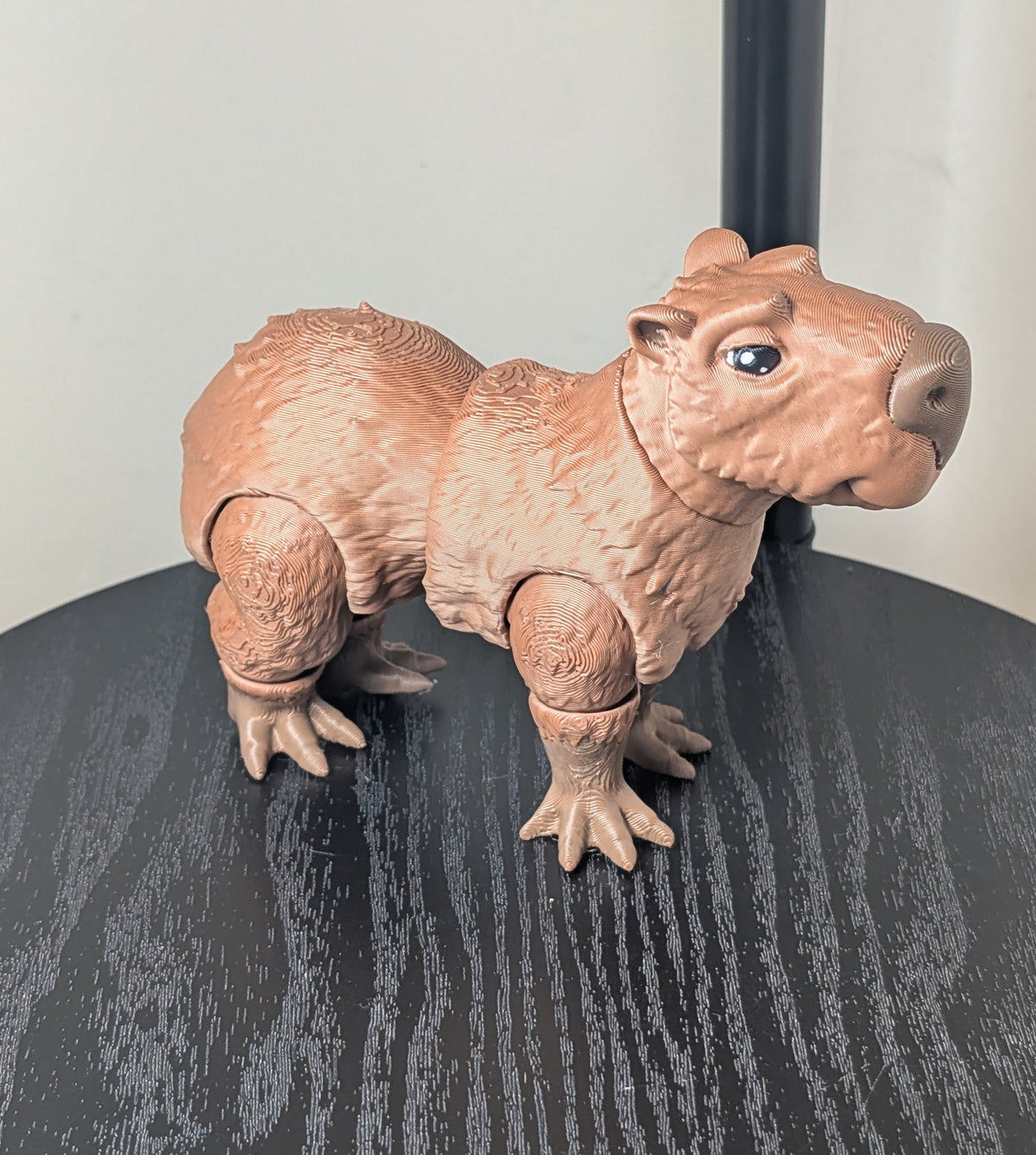 Capybara