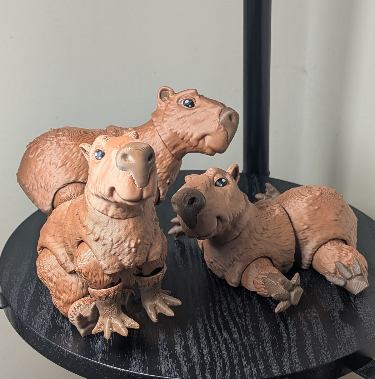 Capybara