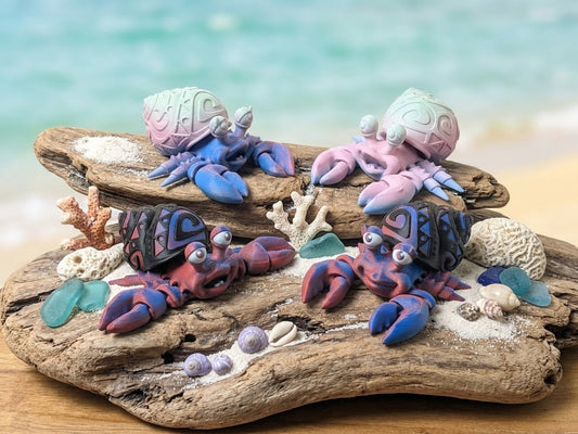 Tattooed Hermit Crab