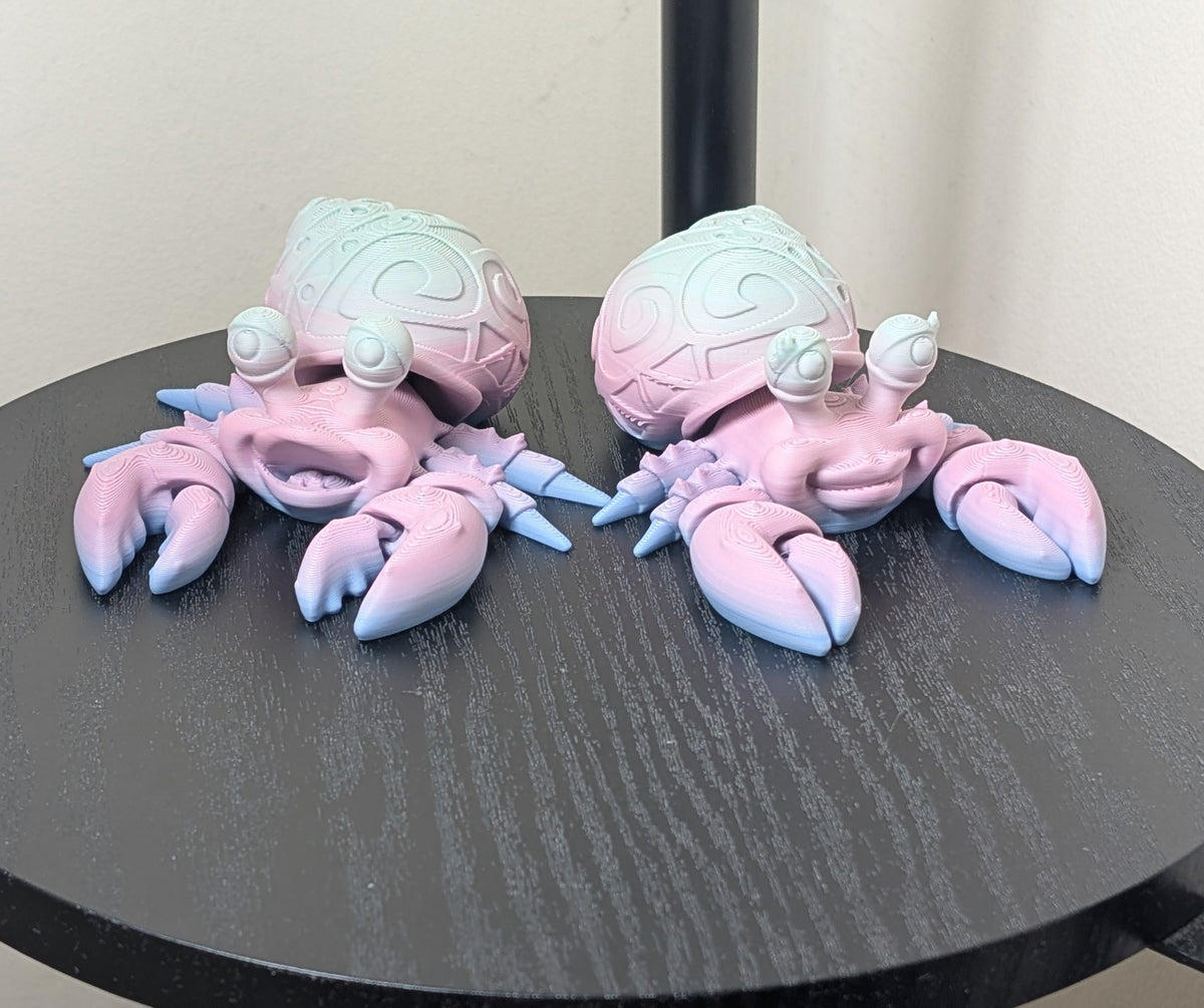 Tattooed Hermit Crab